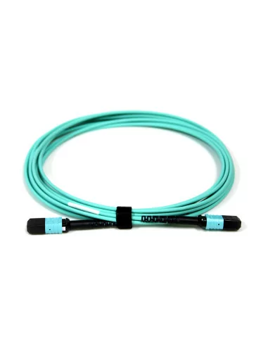 Acconet Patch Lead 12Core MPO Female to MPO Female 5M 