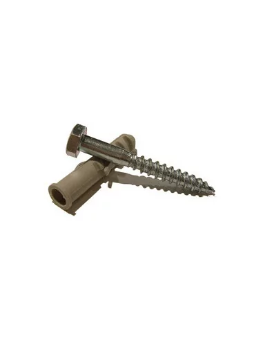 Coach Screw with Wall Plug